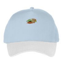 Classic 5-panel snapback (6007) Vignette