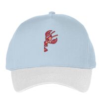 Classic 5-panel snapback (6007) Vignette