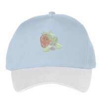 Classic 5-panel snapback (6007) Vignette