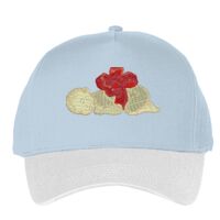 Classic 5-panel snapback (6007) Vignette