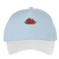 Classic 5-panel snapback (6007) Vignette