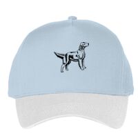 Classic 5-panel snapback (6007) Vignette