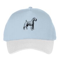 Classic 5-panel snapback (6007) Vignette