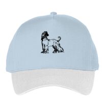 Classic 5-panel snapback (6007) Vignette