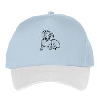 Classic 5-panel snapback (6007) Vignette