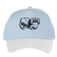 Classic 5-panel snapback (6007) Vignette