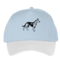 Classic 5-panel snapback (6007) Vignette