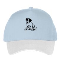 Classic 5-panel snapback (6007) Vignette