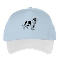 Classic 5-panel snapback (6007) Vignette