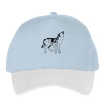 Classic 5-panel snapback (6007) Vignette