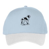 Classic 5-panel snapback (6007) Vignette