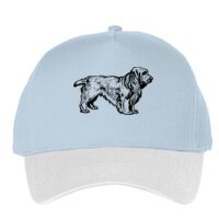 Classic 5-panel snapback (6007) Vignette