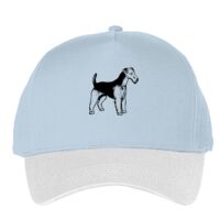 Classic 5-panel snapback (6007) Vignette