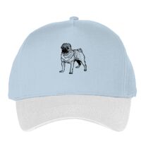 Classic 5-panel snapback (6007) Vignette