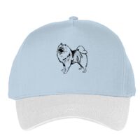 Classic 5-panel snapback (6007) Vignette