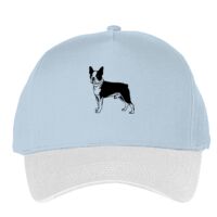 Classic 5-panel snapback (6007) Vignette