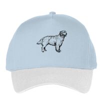 Classic 5-panel snapback (6007) Vignette