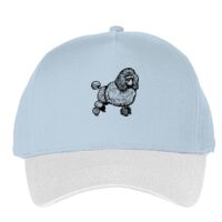 Classic 5-panel snapback (6007) Vignette