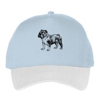 Classic 5-panel snapback (6007) Vignette