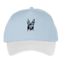 Classic 5-panel snapback (6007) Vignette