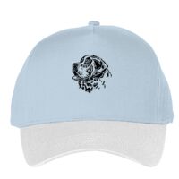 Classic 5-panel snapback (6007) Vignette