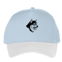 Classic 5-panel snapback (6007) Vignette