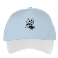 Classic 5-panel snapback (6007) Vignette