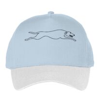 Classic 5-panel snapback (6007) Vignette