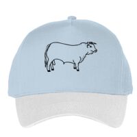 Classic 5-panel snapback (6007) Vignette