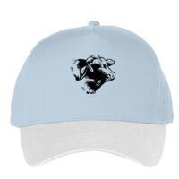 Classic 5-panel snapback (6007) Vignette