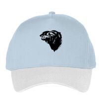 Classic 5-panel snapback (6007) Vignette