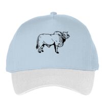 Classic 5-panel snapback (6007) Vignette