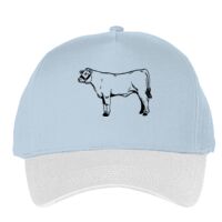 Classic 5-panel snapback (6007) Vignette