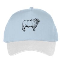 Classic 5-panel snapback (6007) Vignette