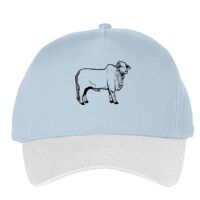 Classic 5-panel snapback (6007) Vignette