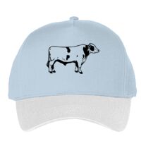 Classic 5-panel snapback (6007) Vignette