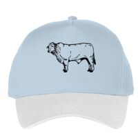 Classic 5-panel snapback (6007) Vignette