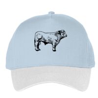 Classic 5-panel snapback (6007) Vignette