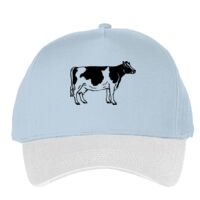 Classic 5-panel snapback (6007) Vignette