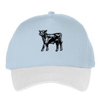 Classic 5-panel snapback (6007) Vignette