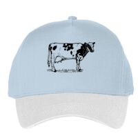 Classic 5-panel snapback (6007) Vignette