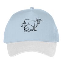 Classic 5-panel snapback (6007) Vignette