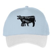 Classic 5-panel snapback (6007) Vignette