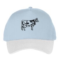 Classic 5-panel snapback (6007) Vignette