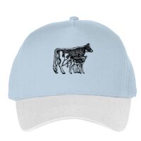 Classic 5-panel snapback (6007) Vignette