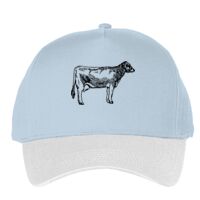 Classic 5-panel snapback (6007) Vignette