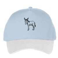 Classic 5-panel snapback (6007) Vignette