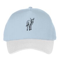 Classic 5-panel snapback (6007) Vignette