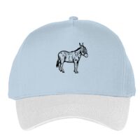 Classic 5-panel snapback (6007) Vignette