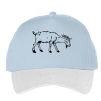 Classic 5-panel snapback (6007) Vignette